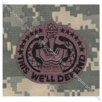 Army Embroidered Badge on ACU Sew On: Drill Sergeant